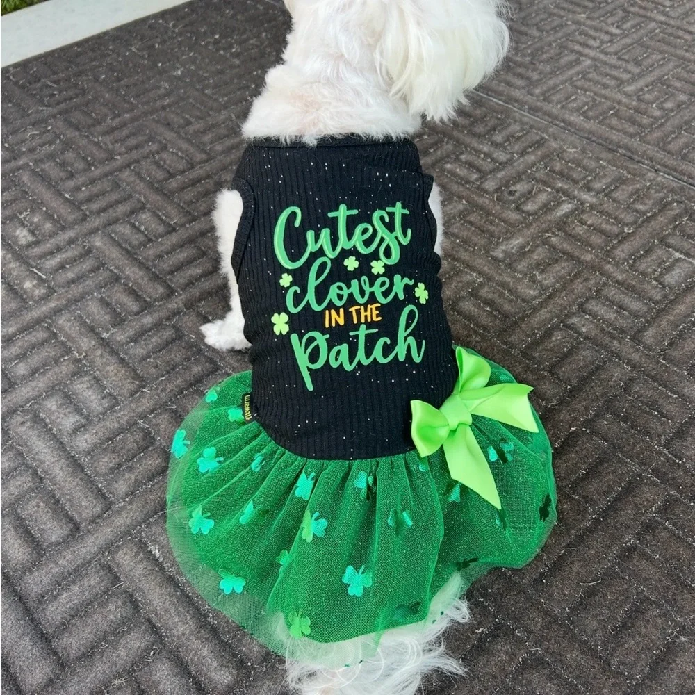 Cute St. Patrick’s Day dog dress